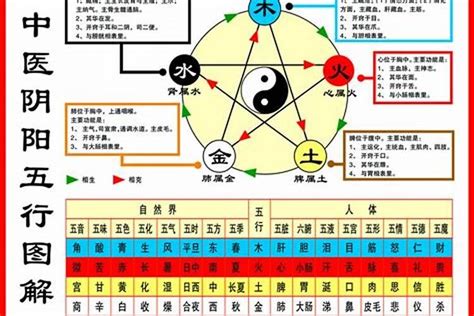 自己 五行 屬性|【怎麼看自己的屬性】怎麼準確預測自己的屬性？一次搞懂五行體。